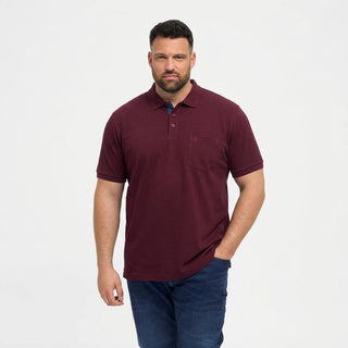 North Latitude / North Latitude Denim North Latitude pique polo SS Polo SS 0380 Bordeaux
