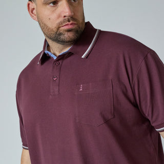 North Latitude / North Latitude Denim SUPERFLEX POLO T-SHIRT Polo SS 0370 Aubergine