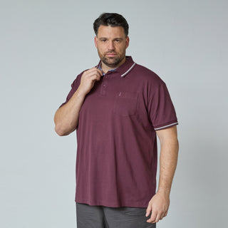 North Latitude / North Latitude Denim SUPERFLEX POLO T-SHIRT Polo SS 0370 Aubergine