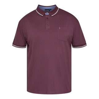 North Latitude / North Latitude Denim SUPERFLEX POLO T-SHIRT Polo SS 0370 Aubergine