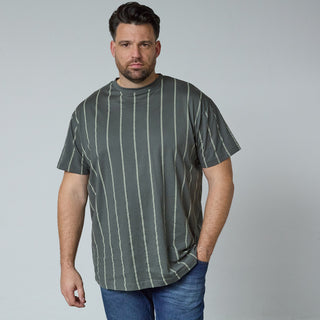 North Latitude / North Latitude Denim Striped T-Shirt T-shirt 2640 Dark Dust Green
