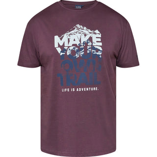 North Latitude / North Latitude Denim T-SHIRT T-shirt 0370 Aubergine