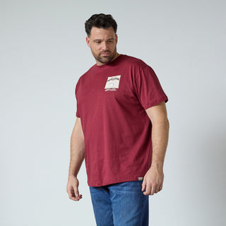 North Latitude / North Latitude Denim T-SHIRT WITH PRINT T-shirt 0481 Wine red